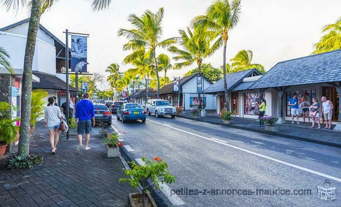 ACCESSIBLE TO FOREIGNERS! GREAT BUSINESS FOR SALE IN THE NORTH OF MAURITIUS