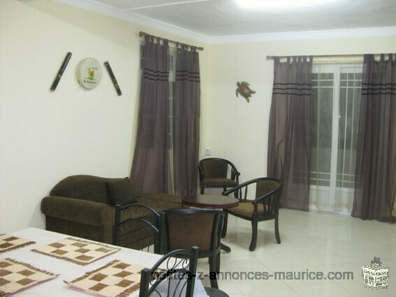 BEAUTIFUL APARTMENT SUNNY, FURNISHED , SECURE AND LIVING RIGHT NOW .