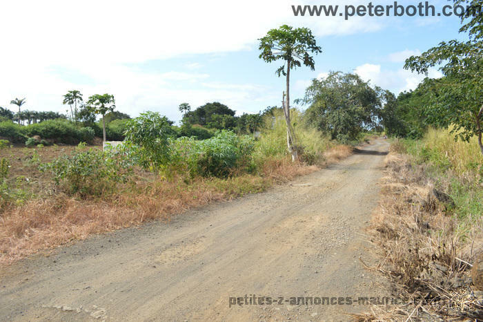 FOR SALE AGRICULTURAL LAND AT PETIT RAFFRAY