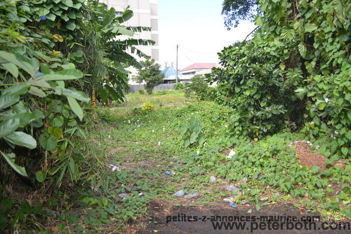 FOR SALE LAND AT CUREPIPE