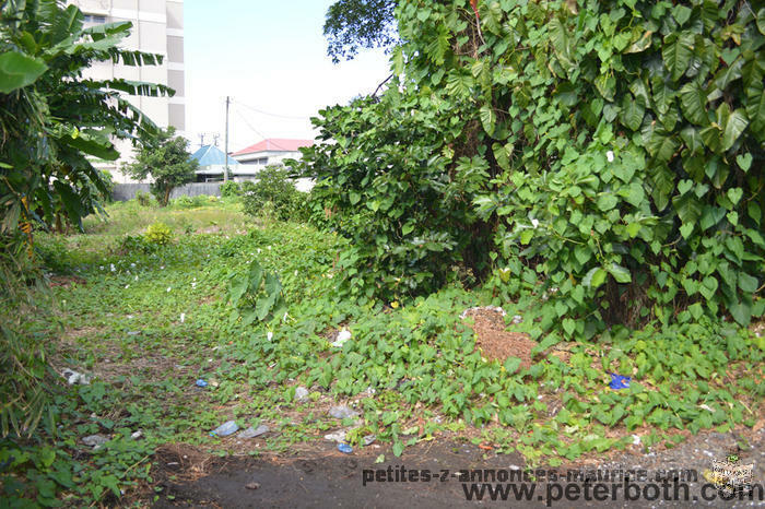 FOR SALE LAND AT CUREPIPE