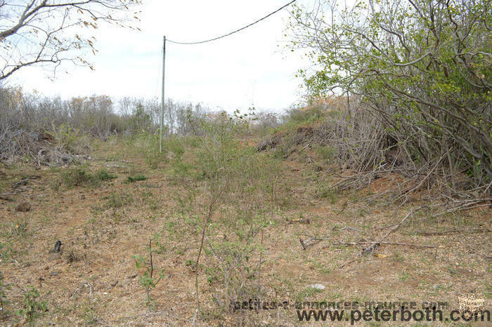 For sale land in Pereybere