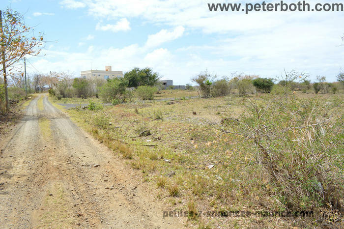For sale land in Pereybere