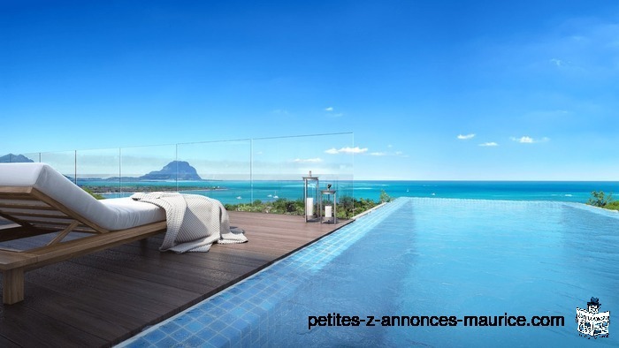 RESEARCH INVESTORS FOR REAL ESTATE OR COMMERCIAL PROJECT FINANCING IN MAURITIUS