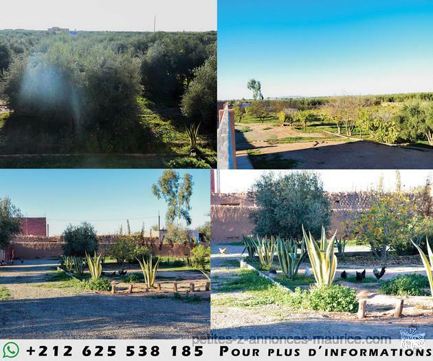 Magnifique ferme à marrakech avec villa a louer sur un terrain de 20000 m2