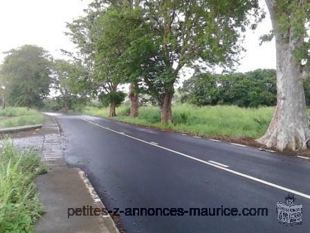 Terrain a Vendre Route Principale Riambel, Surinam